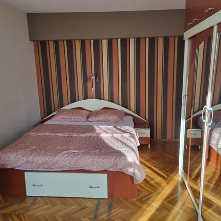 Nice & Relaxing Central Apartment Baia Mare Bagian luar foto