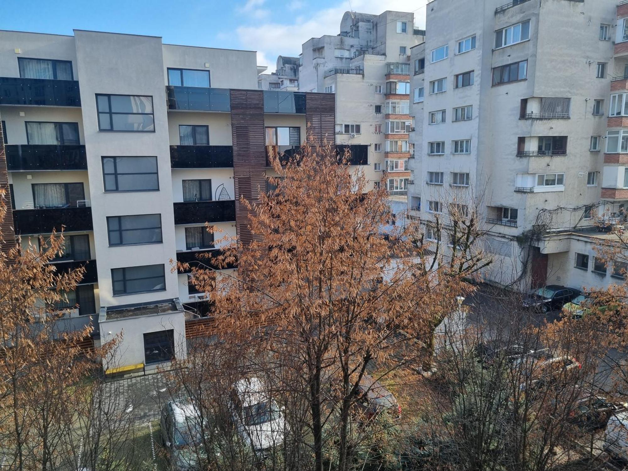 Nice & Relaxing Central Apartment Baia Mare Bagian luar foto